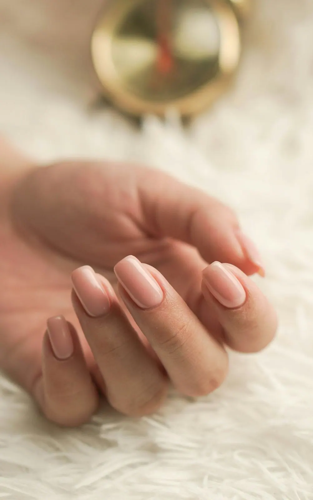 Soft nude manicure on ivory fur